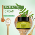 Reparatur von Narben Melasma Pickel Anti Acjetreatment Creme